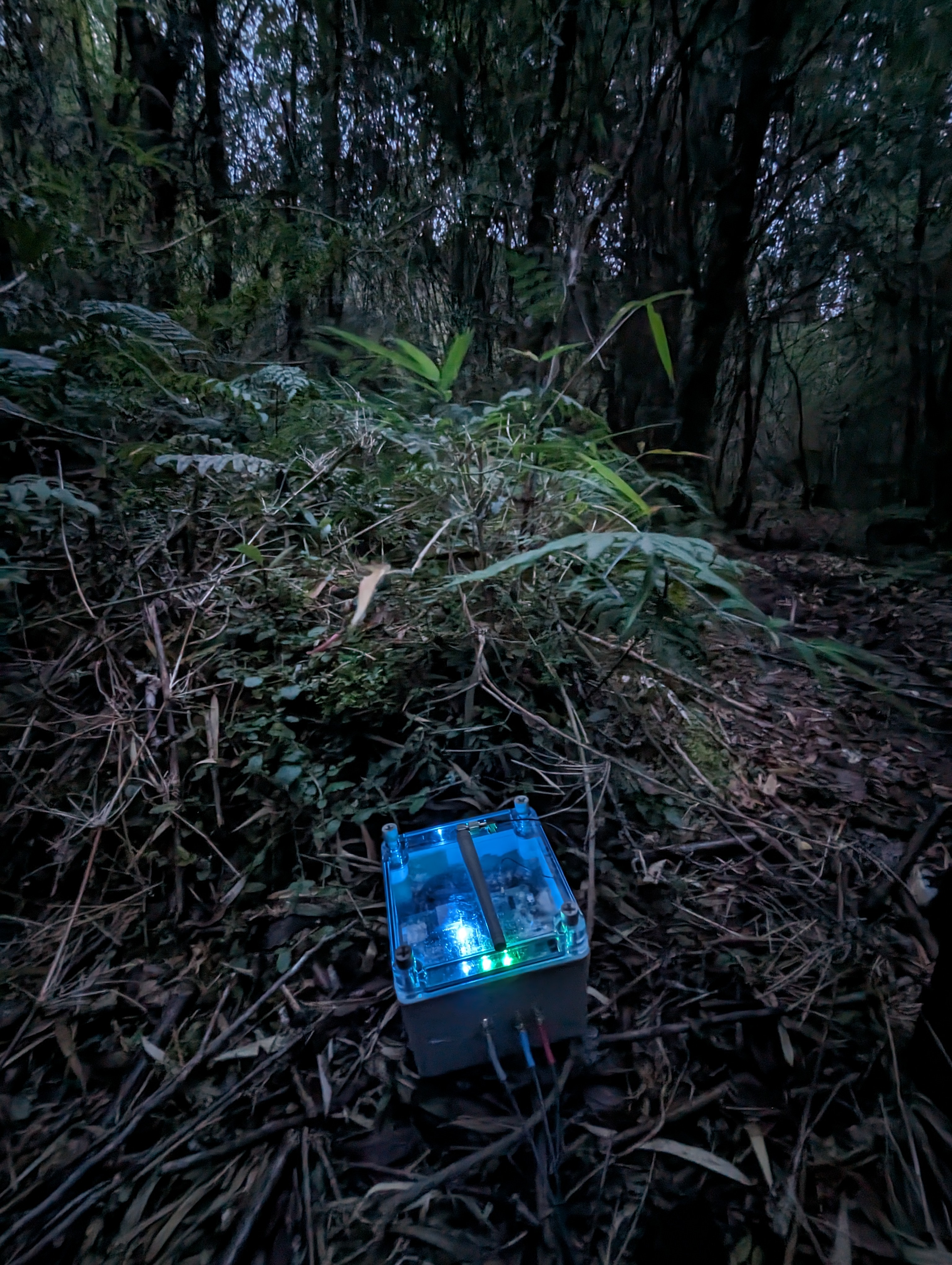 PXL_20230907_105557636.NIGHT.jpg (2.89 MB)