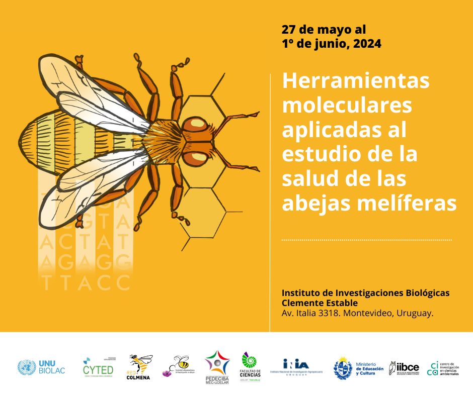 posteo espa�ol.jpg (100 KB)