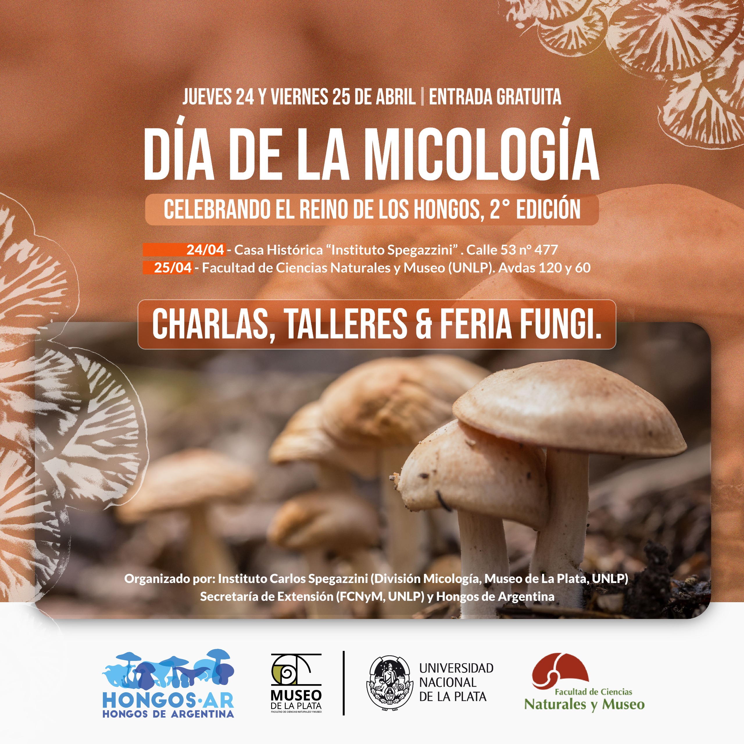 IMG-20250410-WA0001.jpg (1.83 MB)