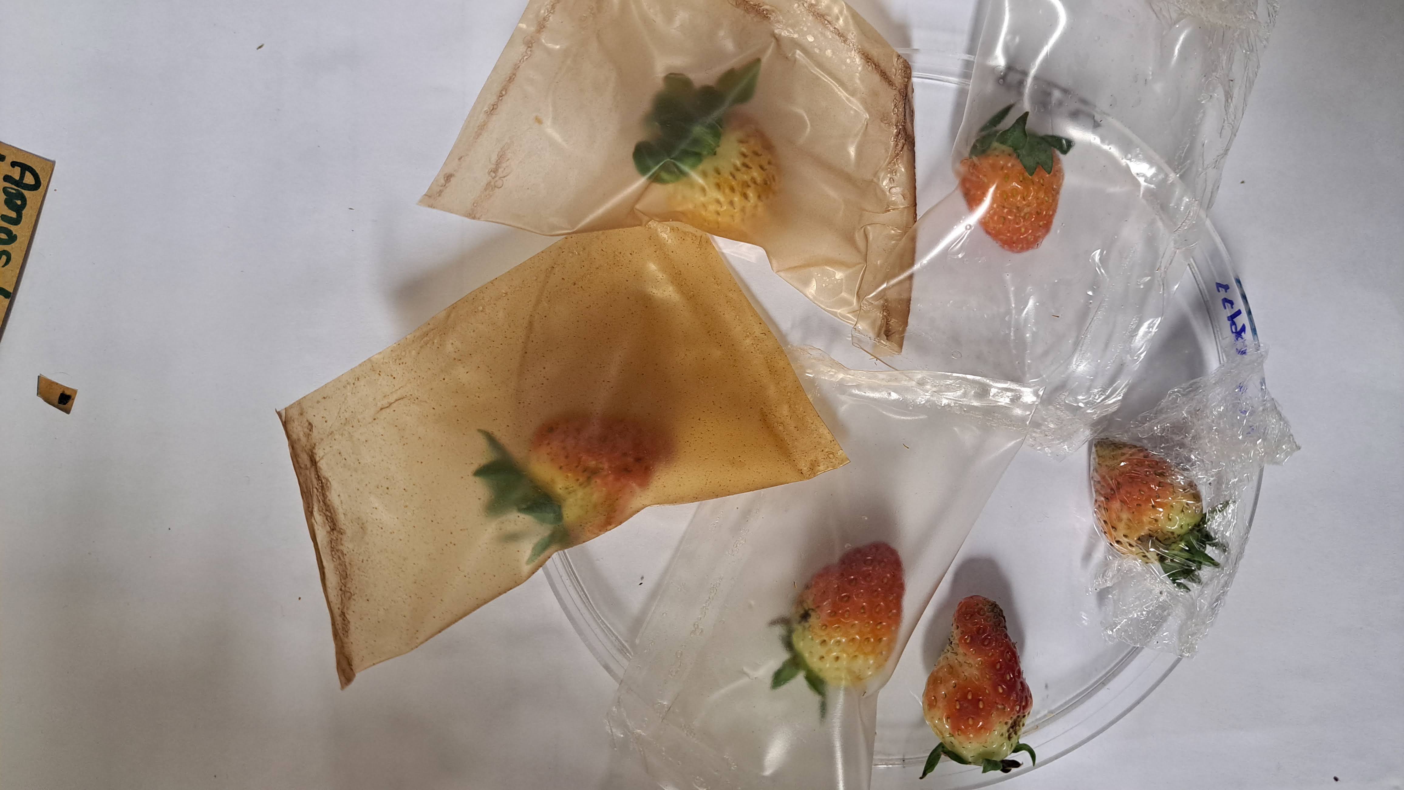 20231214_193007 (1).jpg (444 KB)