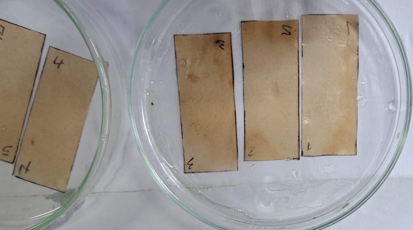 WhatsApp Image 2023-10-02 at 2.26.47 PM.jpeg (68 KB)