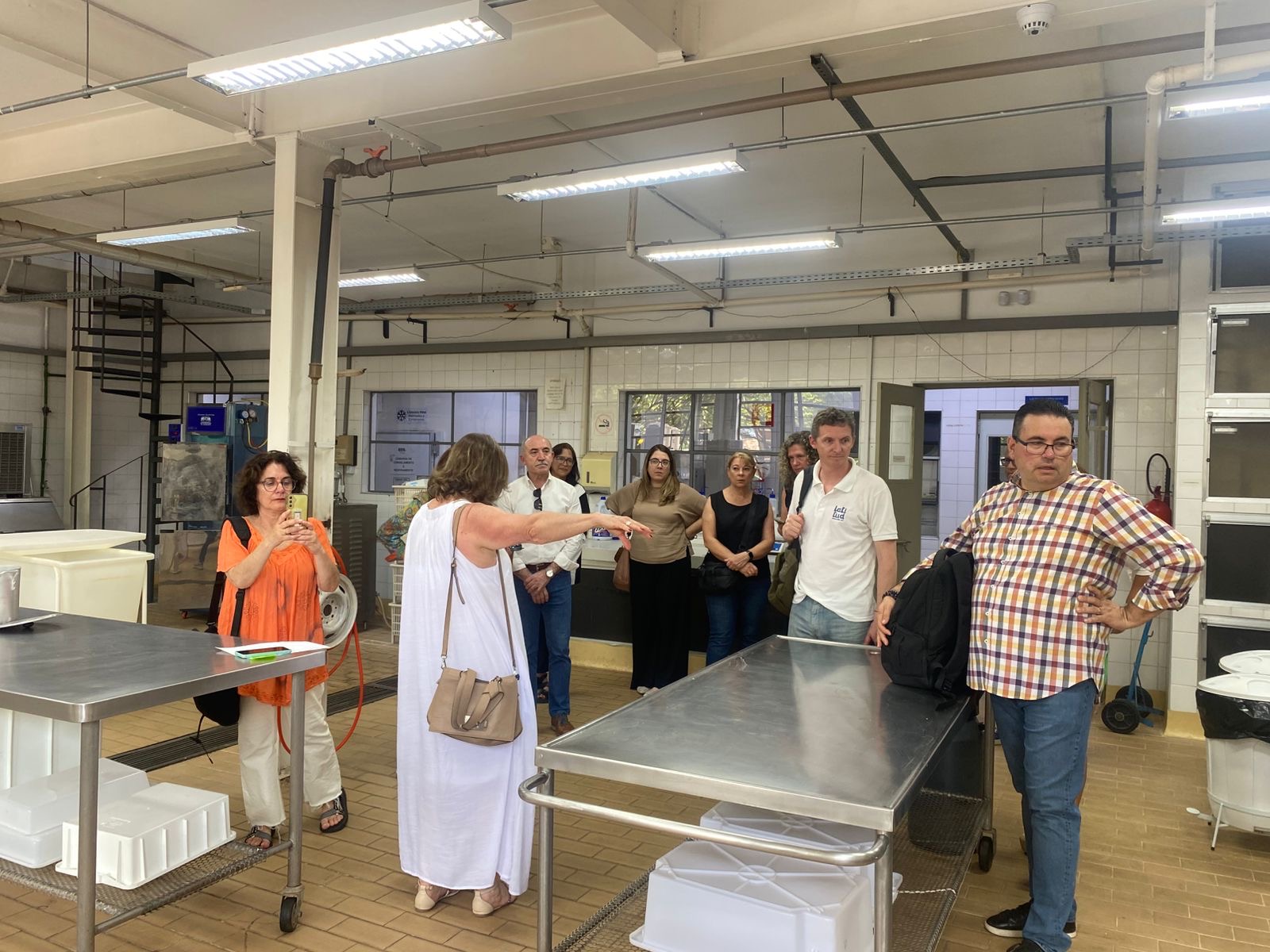 2485762d-330d-4800-a45f-dca0075d5c68.JPG (356 KB)