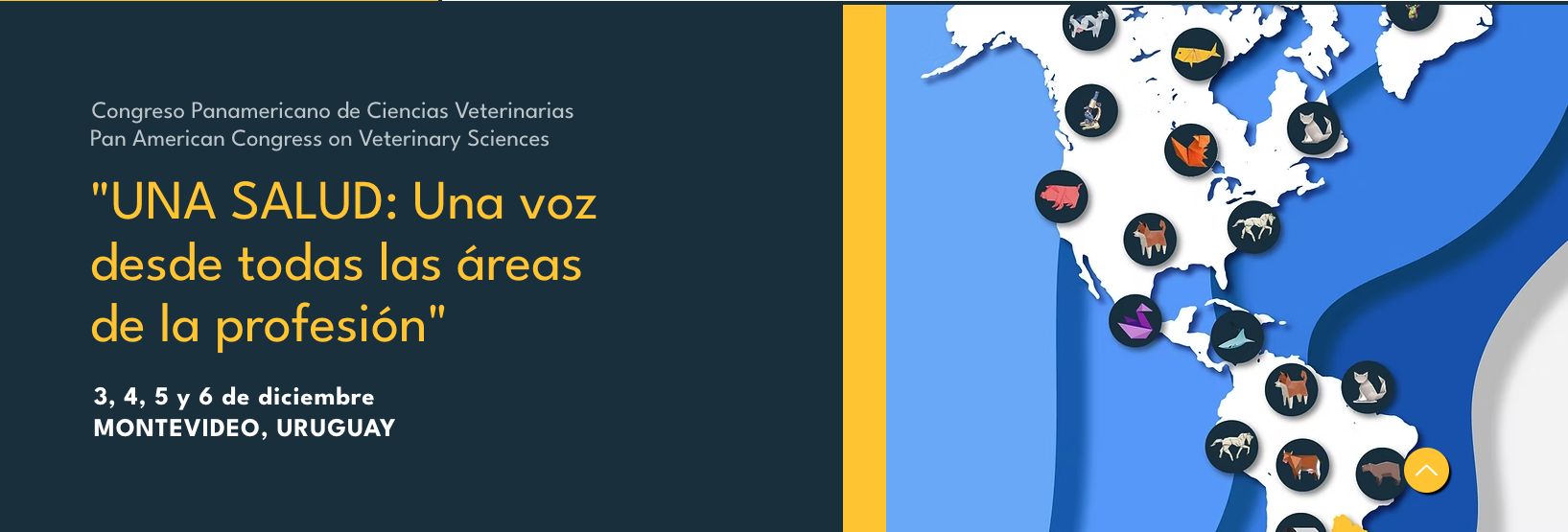 Captura de pantalla 2025-01-31 a la(s) 11.19.33.png (369 KB)