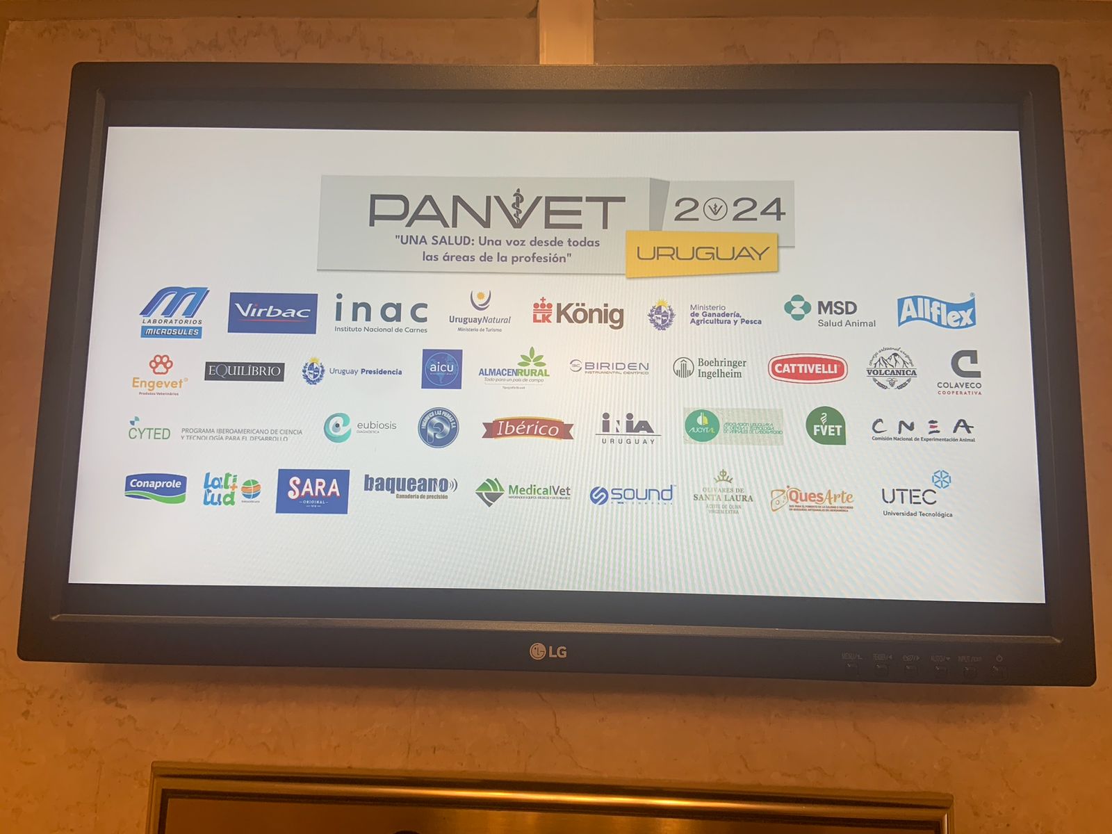 WhatsApp Image 2025-01-31 at 11.20.43.jpeg (165 KB)