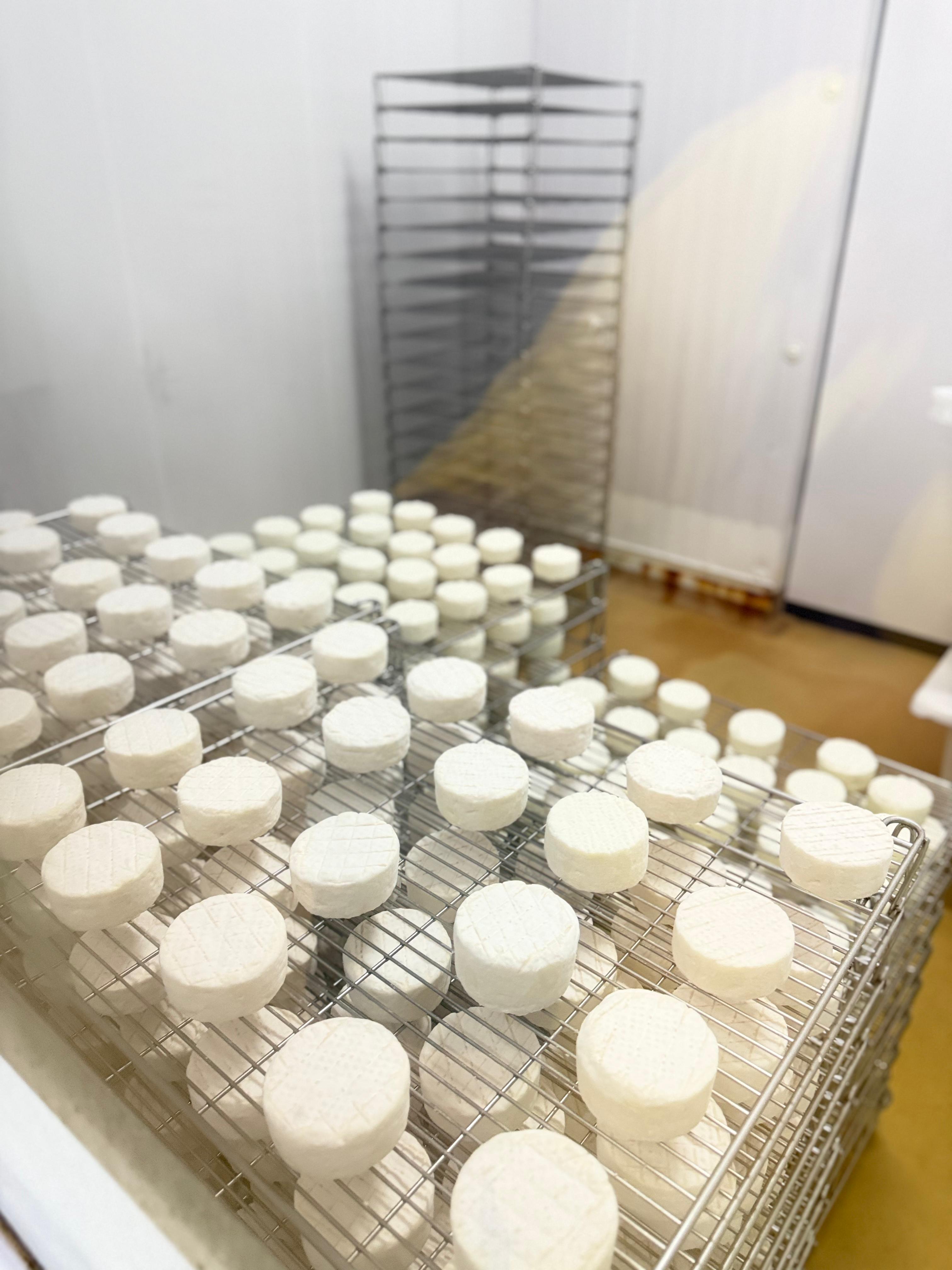 WhatsApp Image 2025-12-05 at 12.59.28.jpeg (677 KB)