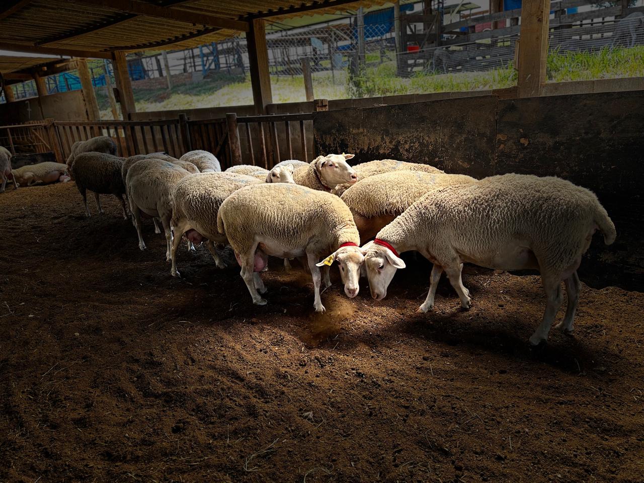 d9b9b282-0034-42ba-86ac-5a800a6acd09.JPG (243 KB)