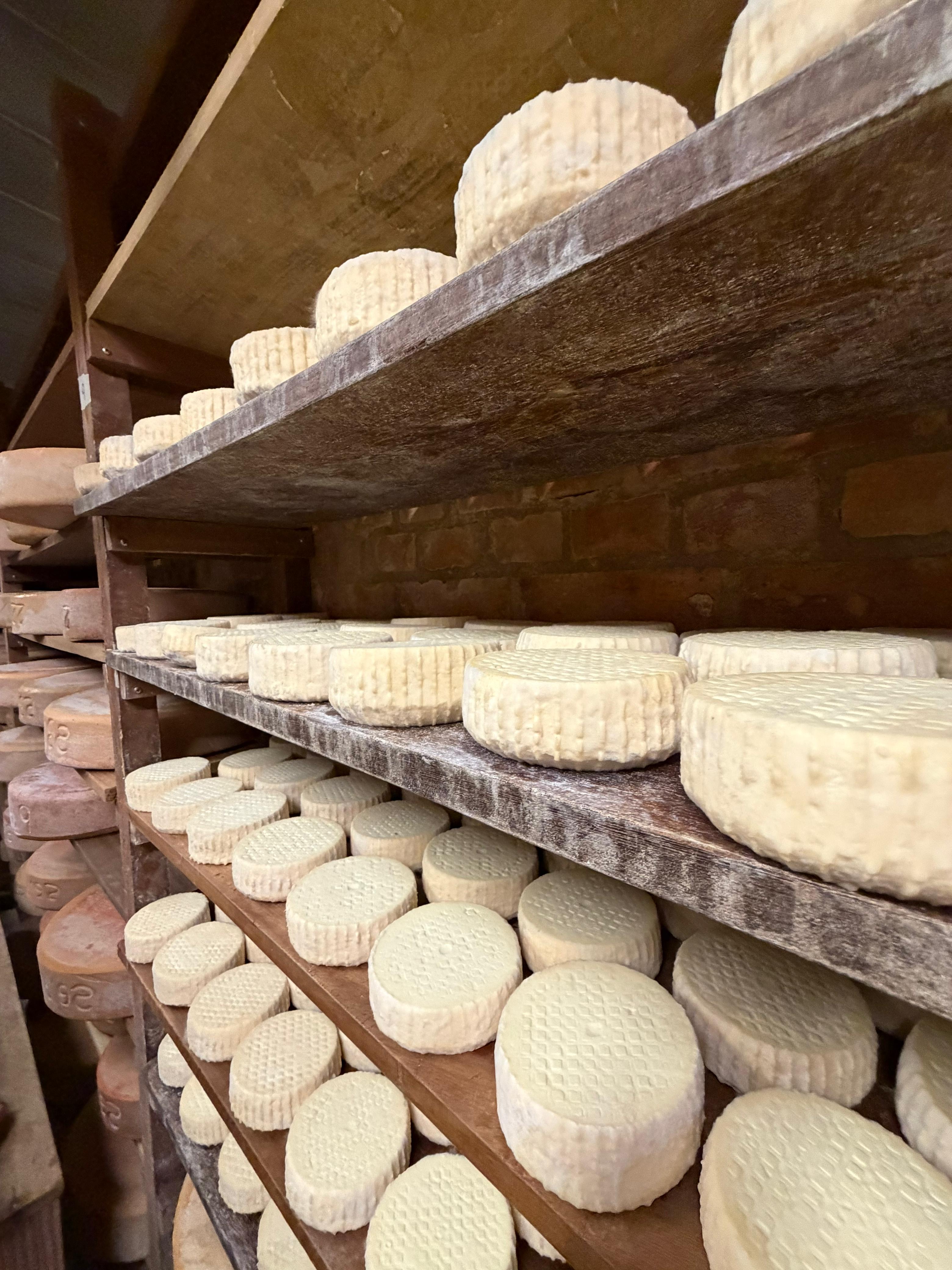 f58ccaaf-c117-4603-96ac-fe267fade266.JPG (1.75 MB)