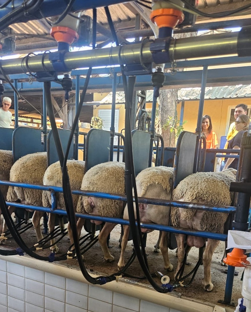 0e98601f-da5b-4e9f-8f56-fc28825515a0.JPG (294 KB)