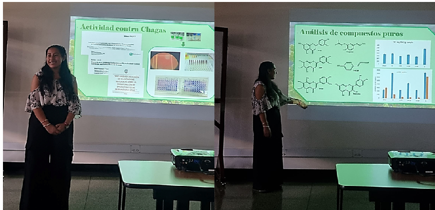 Noemi 1.png (680 KB)