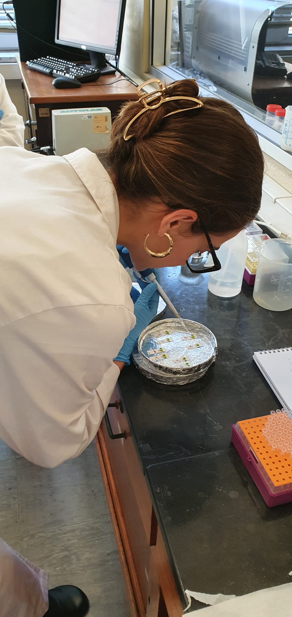 WhatsApp Image 2025-10-08 at 17.02.26_Paula_Barciela_2.jpeg (191 KB)