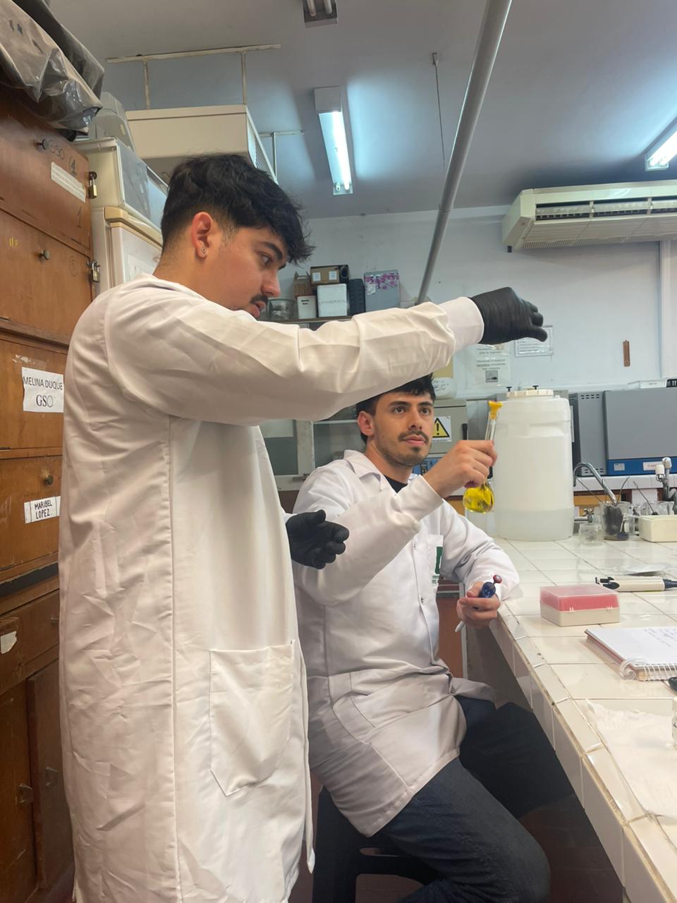 WhatsApp Image 2025-10-09 at 10.14.34_Jhon.jpeg (116 KB)