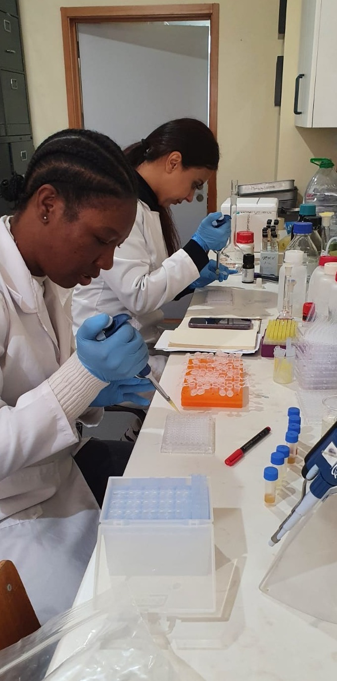 Imagem WhatsApp 2024-01-29 �s 22.20.10_570e019f.jpg (119 KB)