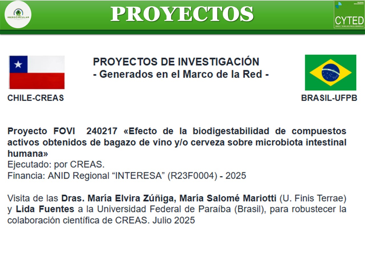 LOGROS RED 2025_PROYECTOS_1.jpg (184 KB)