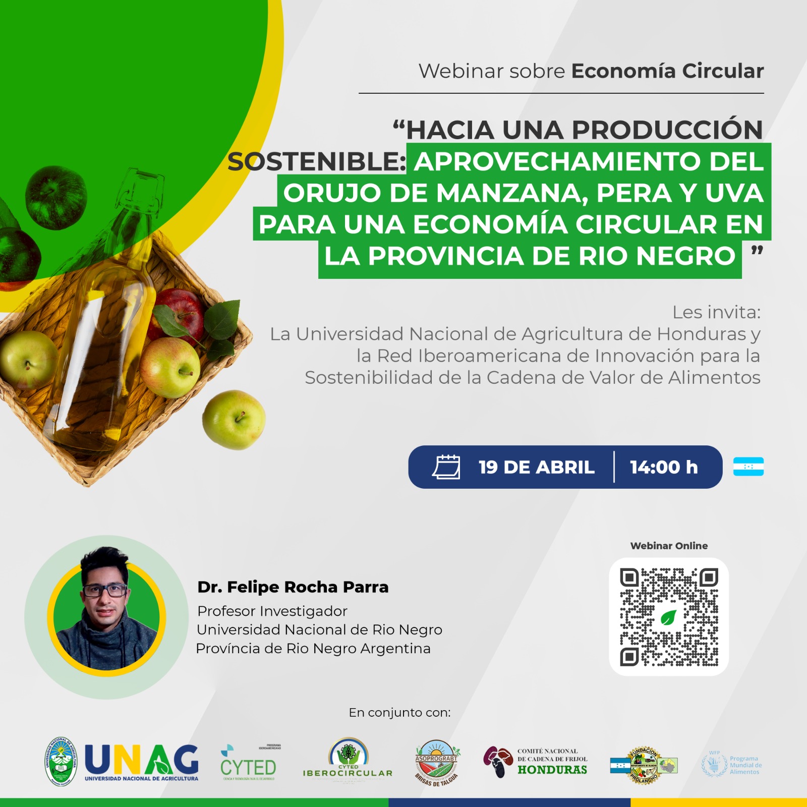webinar-felipe-2024_4-2024.jfif (382 KB)