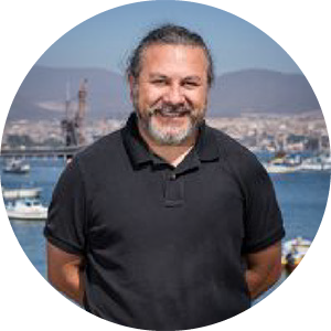 German Merino.png (159 KB)