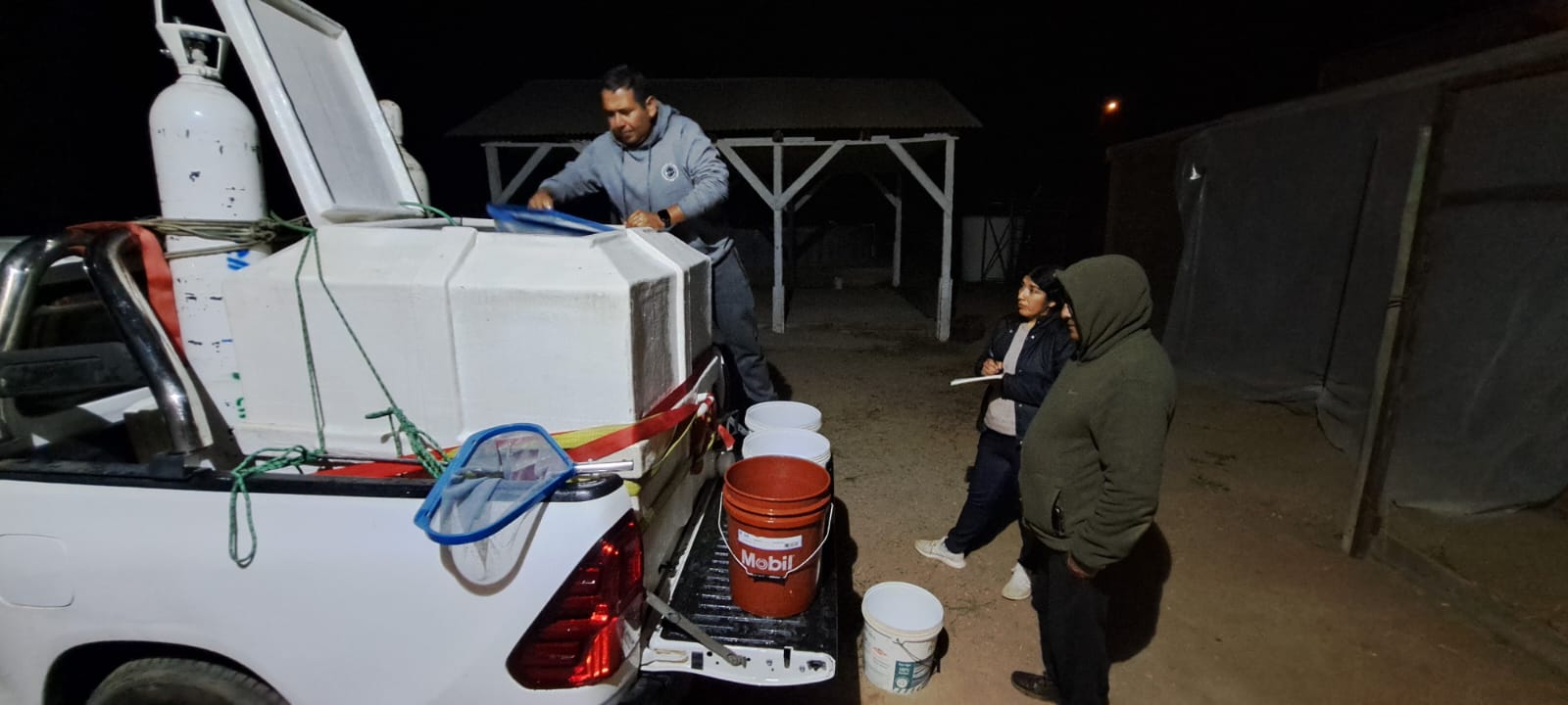 WhatsApp Image 2025-05-20 at 04.59.32.jpeg (95 KB)