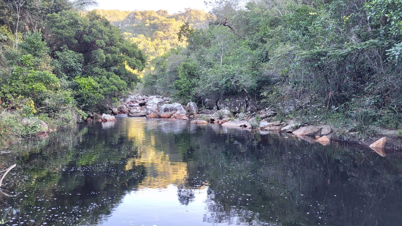 Gustavo 5.jpg (365 KB)