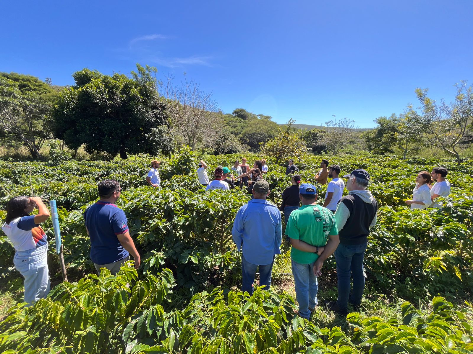 Prod cafe 1.jpg (499 KB)