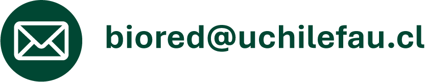 correo biored@2x.png (17 KB)