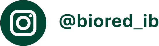 instagram biored@2x.png (14 KB)