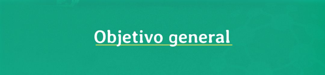 obj general_objetivo general.png (1.60 MB)