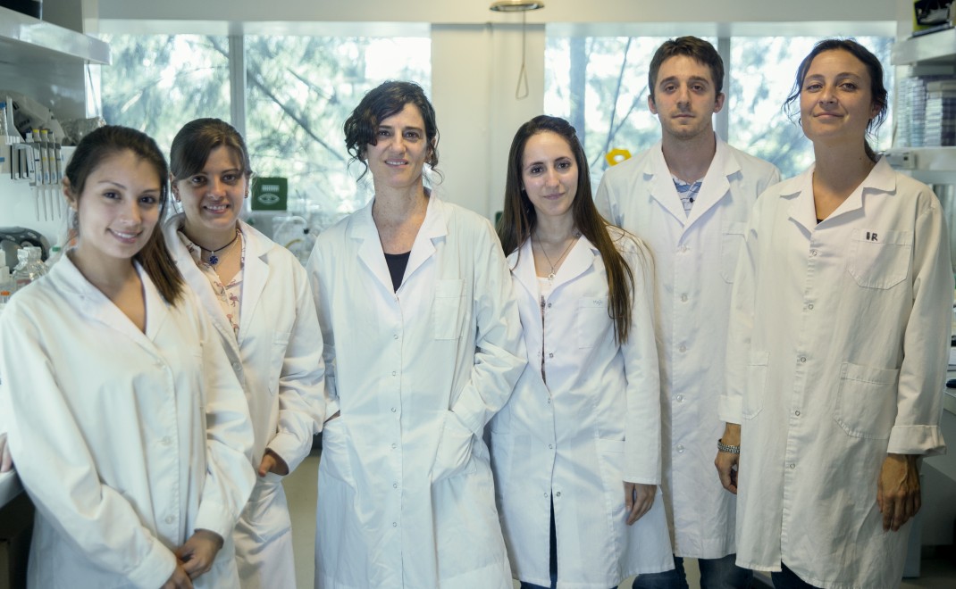 UNSAM-01-1070x660.jpg (145 KB)