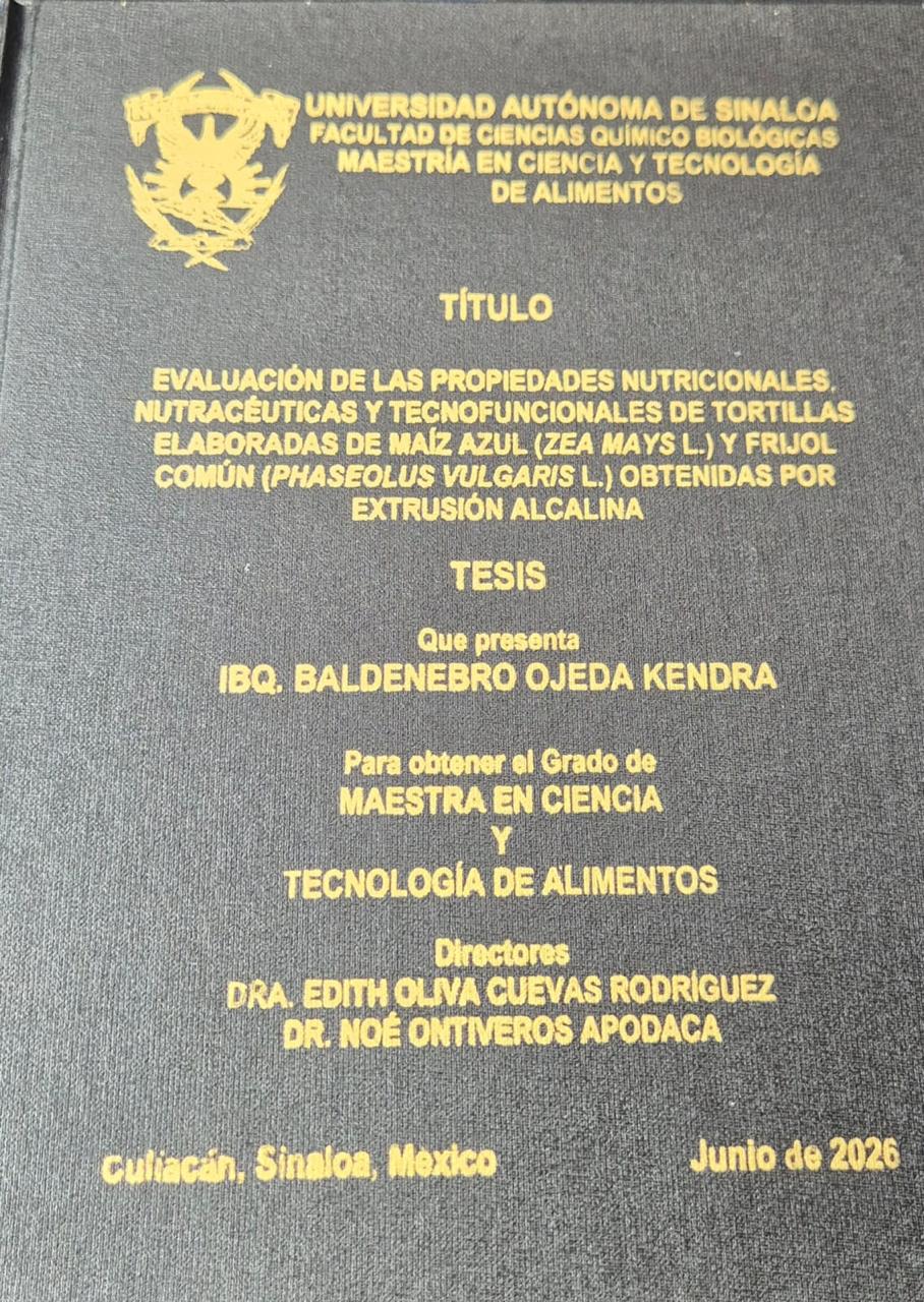 Sinaloa_4.jpg (281 KB)