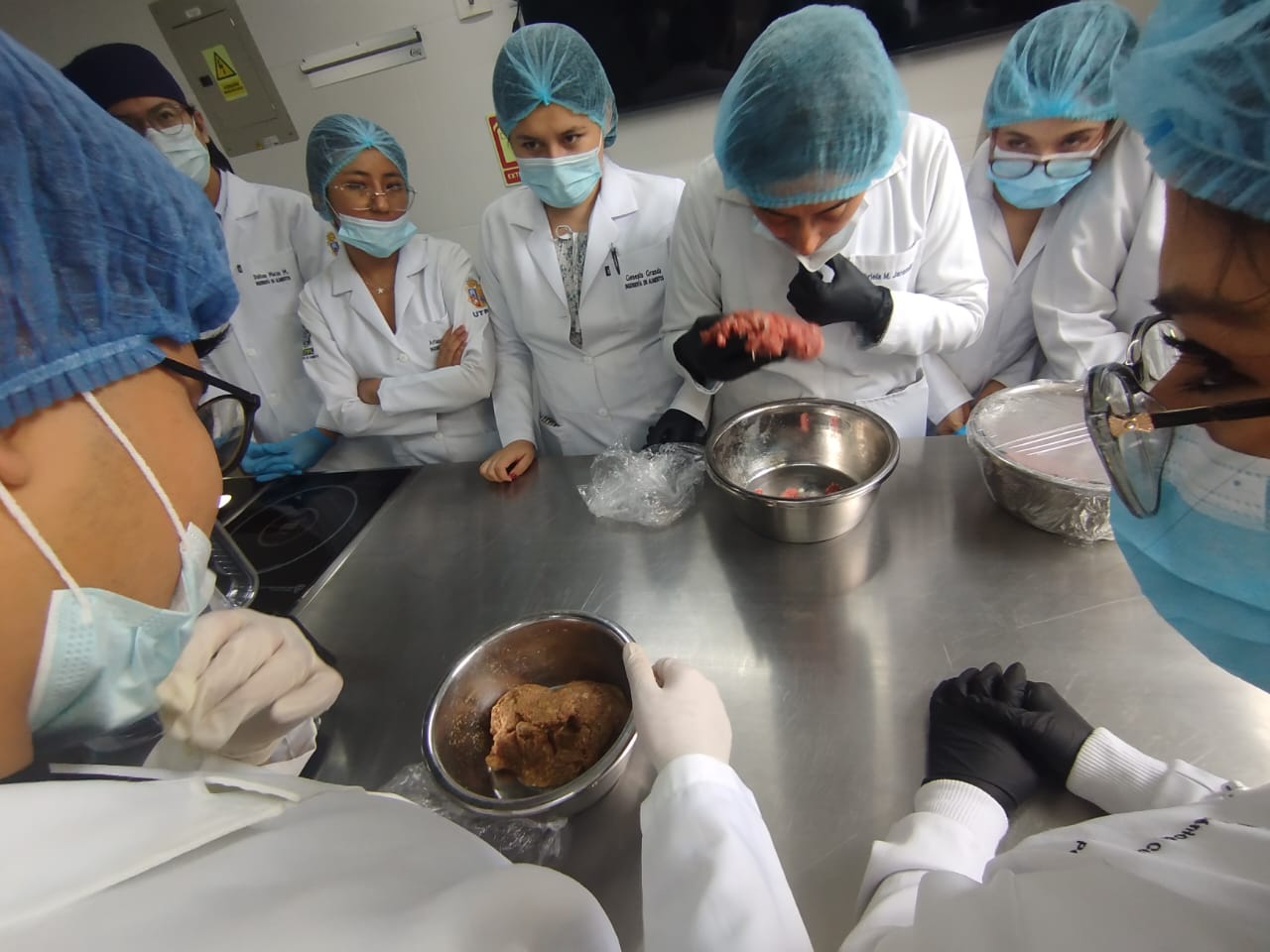 IMG-20260225-WA0019.jpg (113 KB)