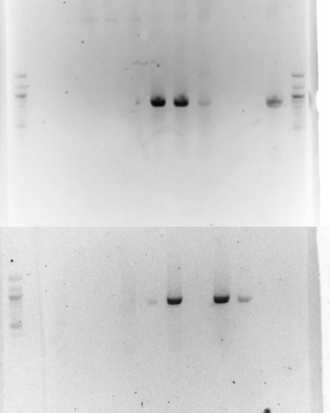 Esta semana estuvimos en la @uncuyo en Mendoza en el Hub Latam de @reclone_org para realizar un  (7).jpg (62 KB)