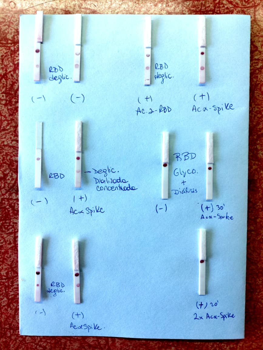 WhatsApp Image 2025-11-14 at 2.37.28 PM.jpeg (109 KB)