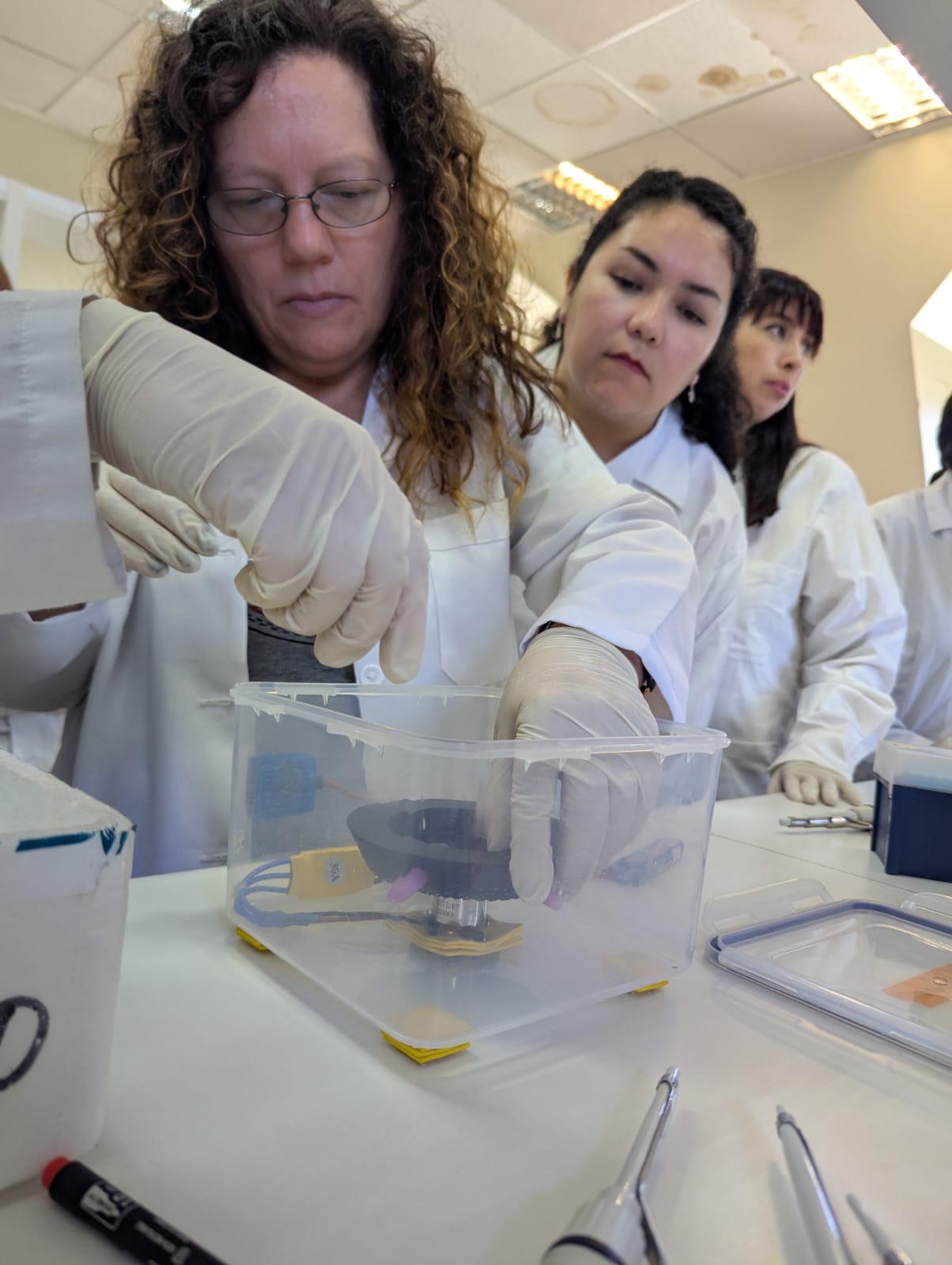 WhatsApp Image 2026-03-29 at 8.52.34 PM.jpeg (132 KB)