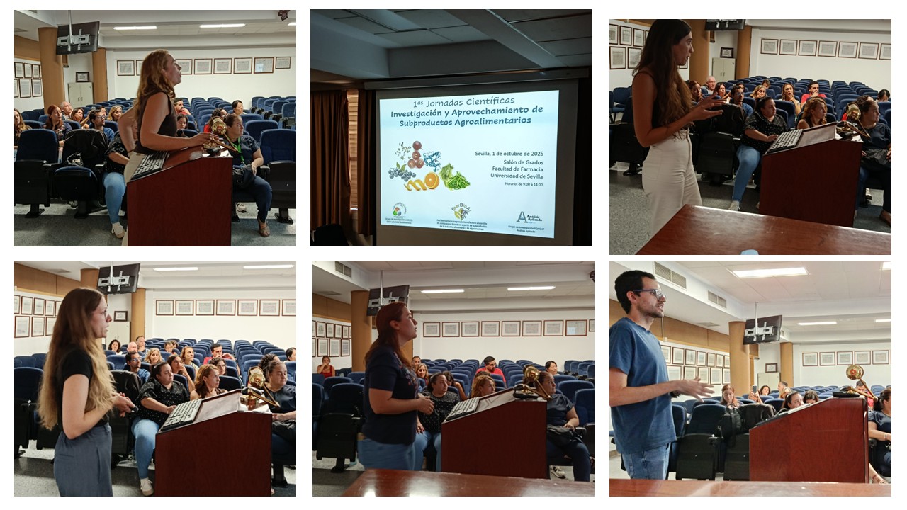 Presentación1.jpg (230 KB)