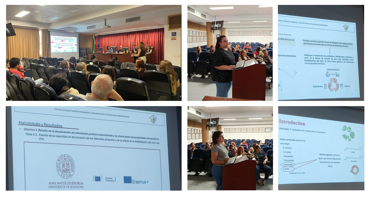 Presentación2.jpg (190 KB)