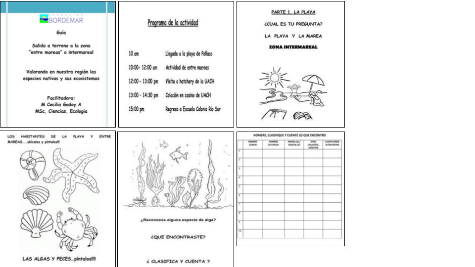 FUNDACIÓN BORDEMAR (2).jpg (57 KB)
