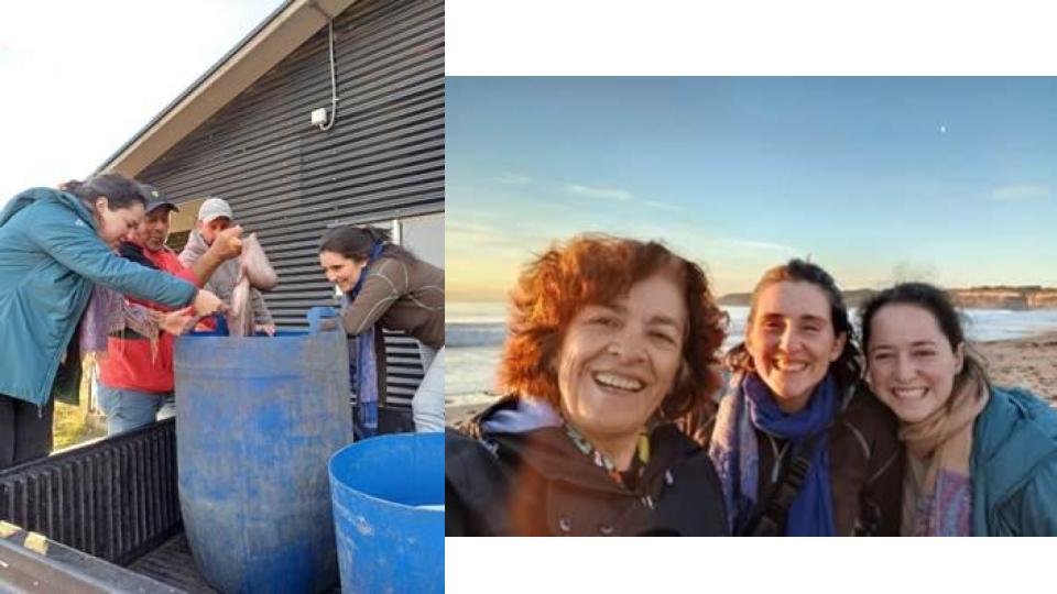 FUNDACIÓN BORDEMAR (6).jpg (60 KB)