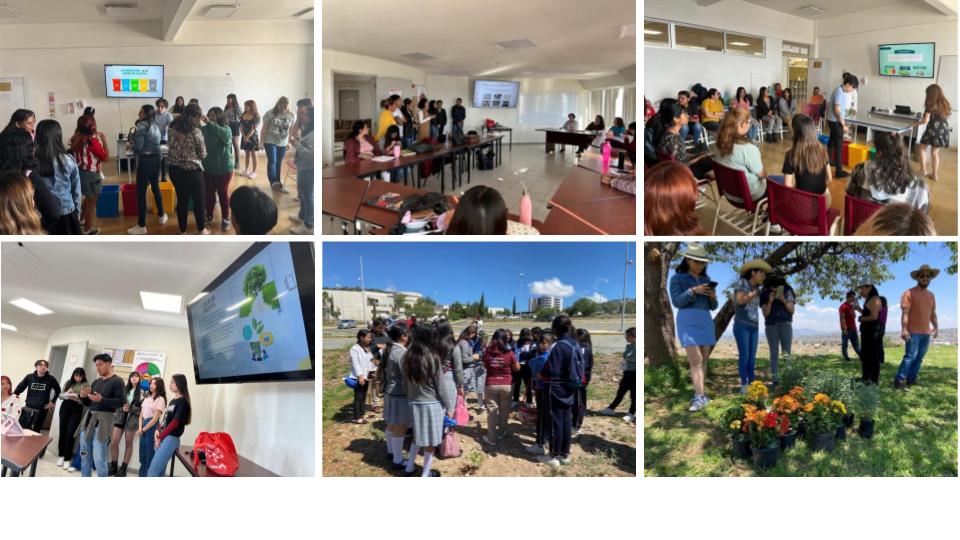 Fotos CYTED (17).jpg (94 KB)