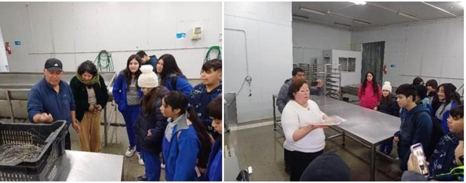 Fotos CYTED.jpg (52 KB)