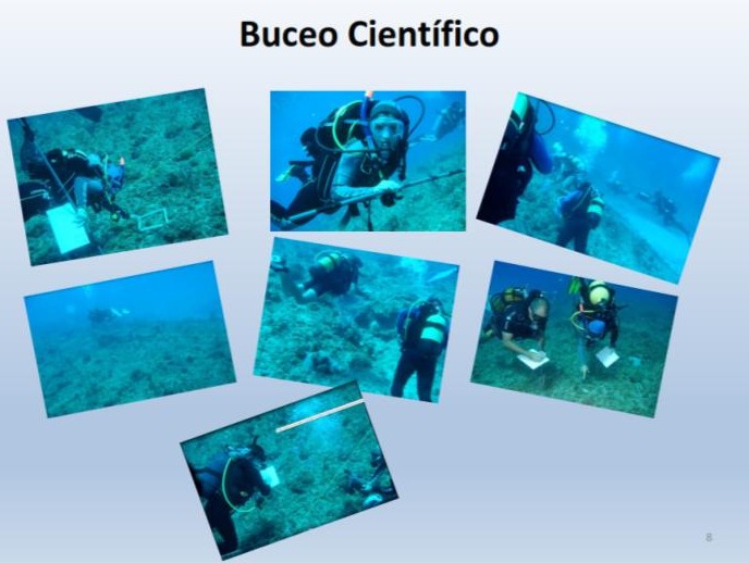 galapagos (2).jpg (47 KB)