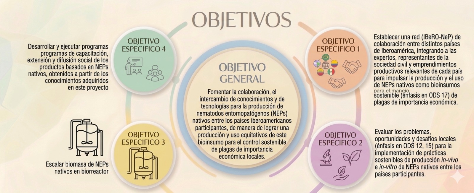 Objetivos .jpeg (247 KB)