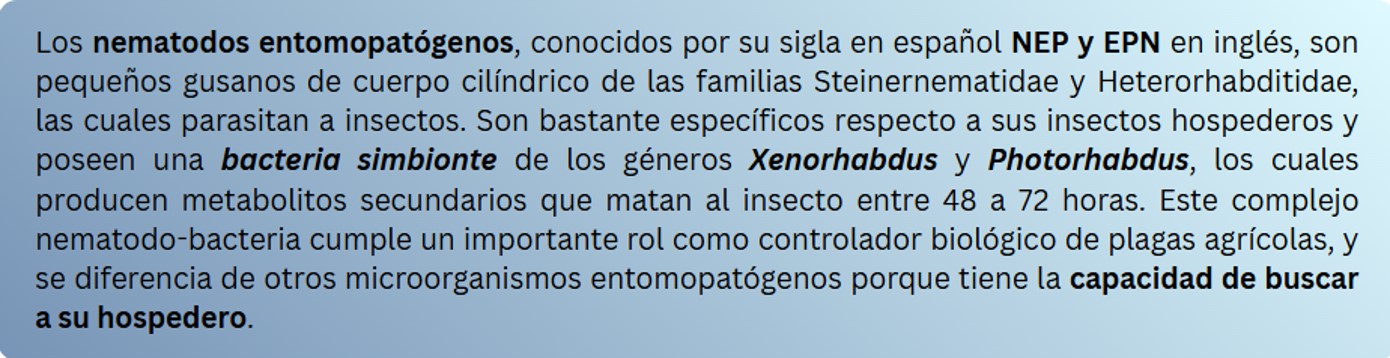 Texto1.jpg (153 KB)